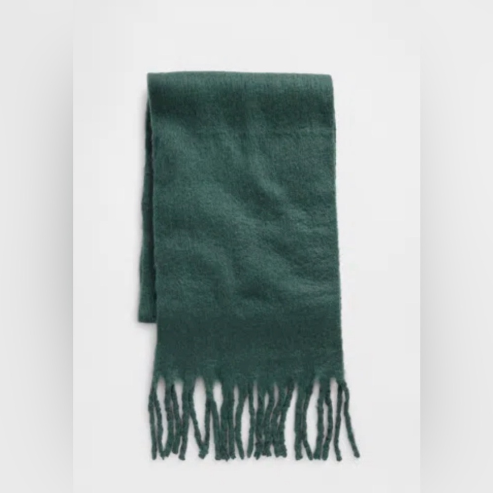 Madewell Fringe Chunky Green Scarf